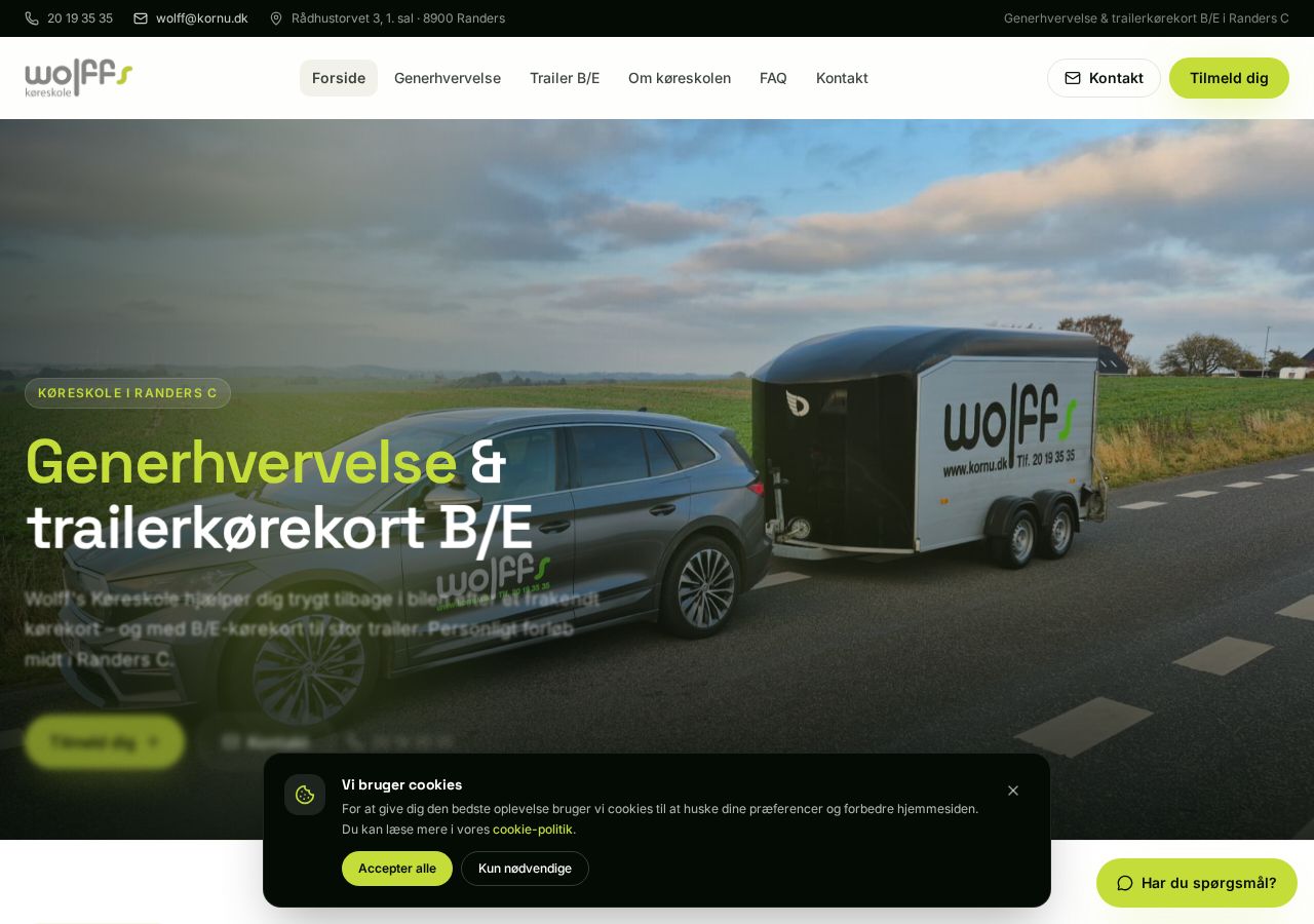 Screenshot af Wolff's Køreskole